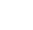 r20 logo